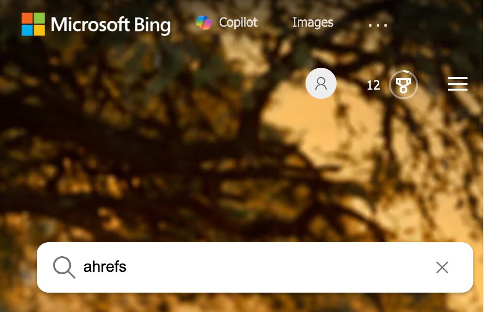Bing